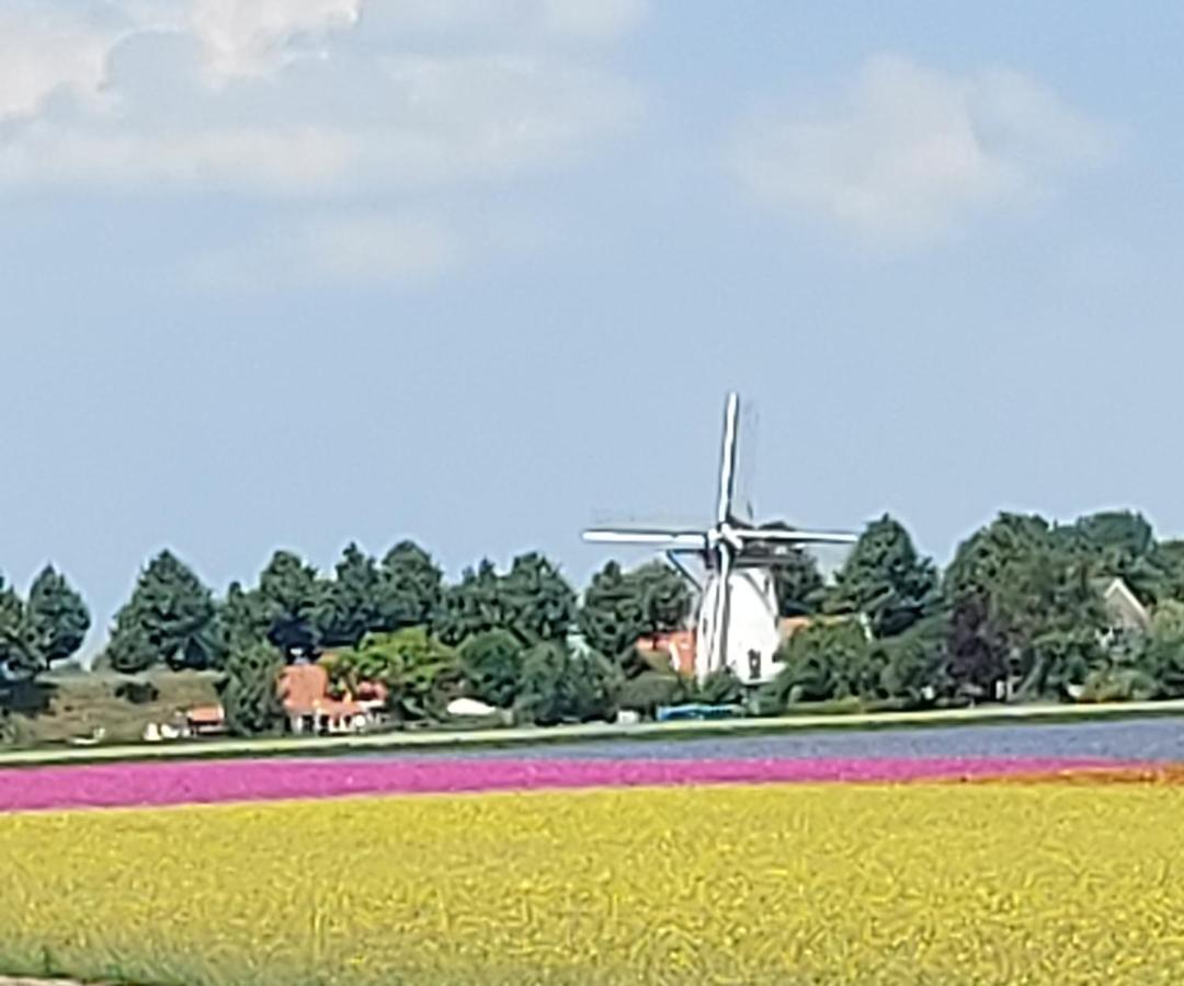 De Nieuwe Stal Daire Scherpenisse Dış mekan fotoğraf